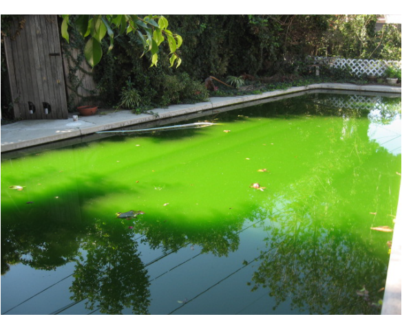 Common Violations 19