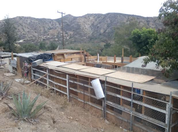 Common Violations 27